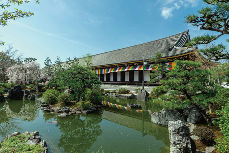 京都の三十三間堂の本堂とその前に広がる池泉回遊式庭園、春のしだれ桜と松の木